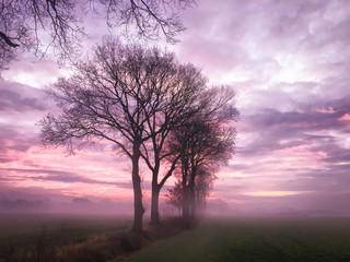 Fototapeta na wymiar Colorful early morning sun rising in dramatic cloudy sky and mist over a group of trees by a field of green grass