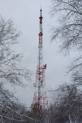TV tower in the snowy park