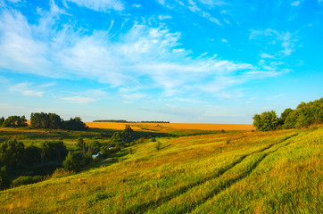 Sunny landscape with distant woods and green hills