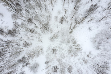 aerial top view of the forest in winter. winter landscape after snowfall