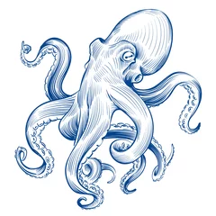 Fotobehang Vintage octopus. Hand drawn squid engraved ocean animal. Etching octopus vector illustration. Squid octopus animal, marine seafood © MicroOne