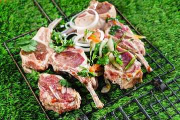 meat for grill