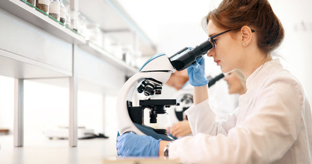 Young scientist looking through microscope in laboratory