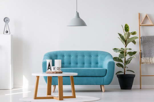 White wooden coffee table next to blue elegant couch in bright living room interior with plant in black pot and scandinavian ladder