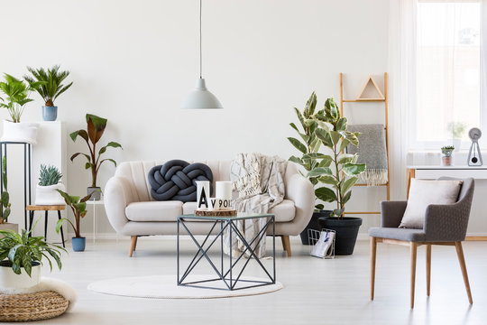 Industrial coffee table in the middle of scandinavian living room interior with white sofa, urban jungle and grey chair