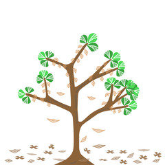 Obraz premium tree and leaves on white background- Illustration 