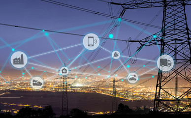 Smart Electricity Grids