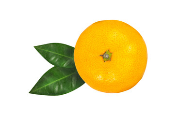 Tangerine or clementine with green leaf isolated on white background.