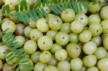 Fresh Organic Indian Gooseberry or Emblic (botanical name is Phyllanthus Emblica) Is The Tropical Fruit.