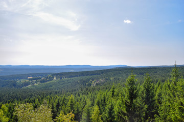 Fototapeta na wymiar Wald mit blick aufs Tal, Harz, Brocken, Bäume, baum, Wald, Himmel, Sonne, Ferne