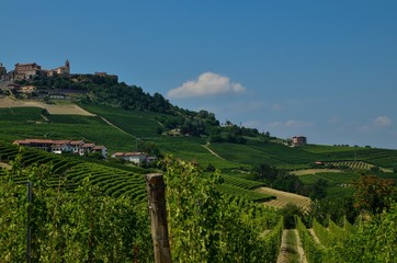 La morra, Piedmont, Italy. July 2018. Outside the town, the magnificent vineyards. A glimpse of the beautiful countryside of the place.