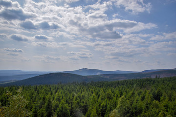 Wald mit blick aufs Tal, Harz, Brocken, Bäume, baum, Wald, Himmel, Sonne