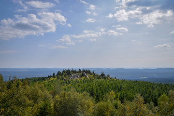 Fototapeta premium Wald mit blick aufs Tal, Harz, Brocken, Bäume, baum, Wald