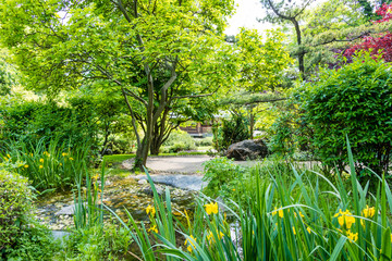 Path in the Japanese garden in Vienna