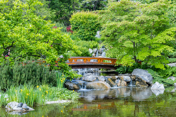 Fototapeta na wymiar Beautiful Japanese garden in Vienna