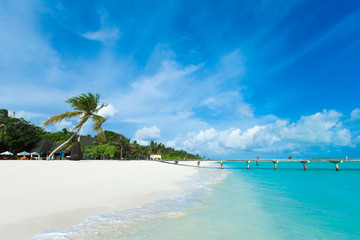 Fototapeta premium tropikalna wyspa Malediwy z białą piaszczystą plażą i morzem