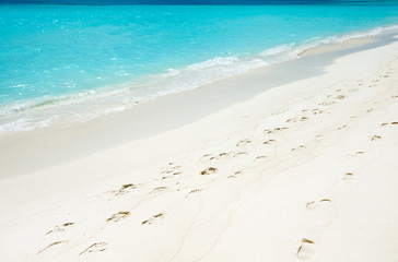tropical Maldives island with white sandy beach and sea