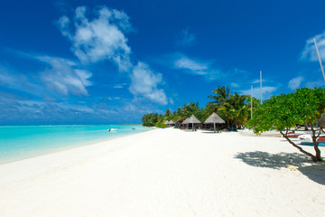 tropical Maldives island with white sandy beach and sea