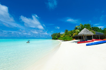 Fototapeta premium tropical Maldives island with white sandy beach and sea