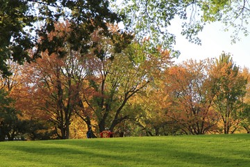 Indian Summer at Mount Royal, Quebec, Canada