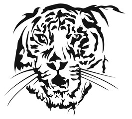 Tiger AML024