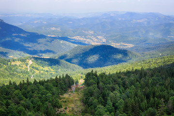 Fototapeta na wymiar Jahorina mountain landscape during summer