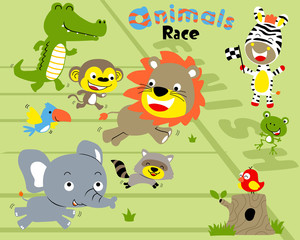 Vector set of animals race cartoon