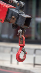 Crane Hook