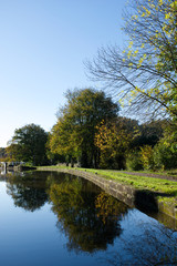 Fototapeta na wymiar Tree Reflection in Canal