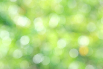 Defocused abstract nature background with green leaves and bokeh lights. Royalty high-quality free stock image of natural blurred bokeh background from leaf and tree