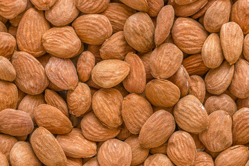 almond background
