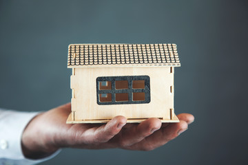 man hand house model