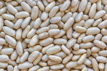 white beans background