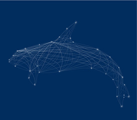 Abstract silhouette orca © Anna