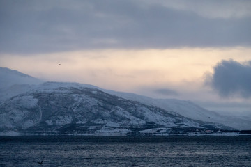 Fototapeta na wymiar TRØMSO, Nord Norwegen | Polar- Kruezfahrten