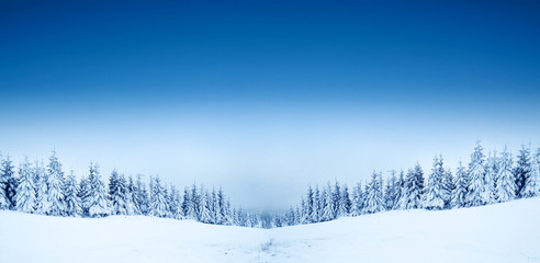 winter landscape of snow and blue sky 
