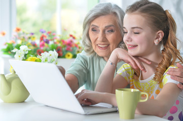 Portrait of girl with grandmother using laptop