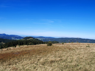 Fototapeta premium Schwarzwald. Blick auf dem Gipfel des Herzogenhorns