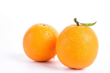 kumquat on a white background 