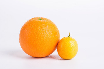 kumquat on a white background 