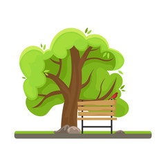 Spring tree. Bench with a bird. Isolated image.