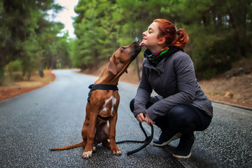 Portrait of happy teenage girl and Rhodesian ridgeback dog . Dog giving girl sweet kiss lick. Love...