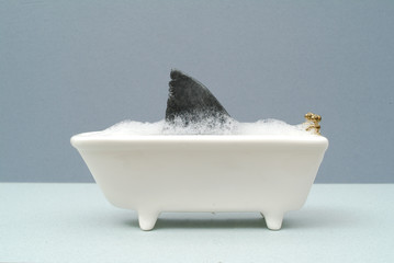 shark fin in bath in a grey setting - obrazy, fototapety, plakaty