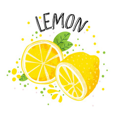 Vector hand draw lemon illustration. Half and slice of lemons with juice splashes isolated on white background. Textured yellow citrus sketch, juice citrus fruit with word Lemon on top. Fresh ripe