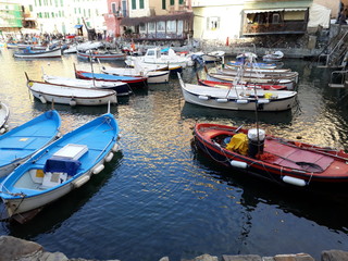 Obraz premium Camogli, Panoramiche & Life