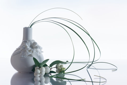 Minimalism still life on a white background, graphic, xerophyllum tenax, Beargrass