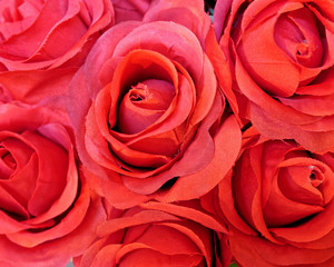 red fake roses closeup, colorful background