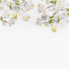 Spring blossom branches with hanging yellow Easter eggs at white wall background, banner. Fresh...