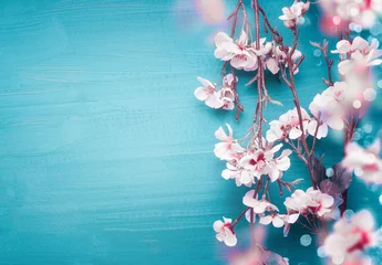 Fotobehang Mooie lente kersenbloesem takken op turquoise blauwe achtergrond met kopie ruimte voor uw ontwerp. Lentevakantie en natuurconcept © VICUSCHKA
