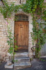 Fototapeta na wymiar Ancient wooden door in the south of France with green grape vines